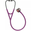PRUNE FINITIONS RAINBOW - 6205