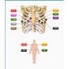 EDAN ECG PC SE-1515 DE15