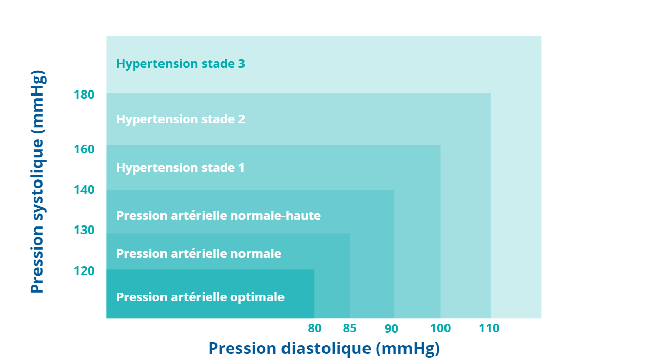 Comment choisir son tensiomètre pour bien mesurer sa tension ? Les conseils  de la spécialiste : Femme Actuelle Le MAG